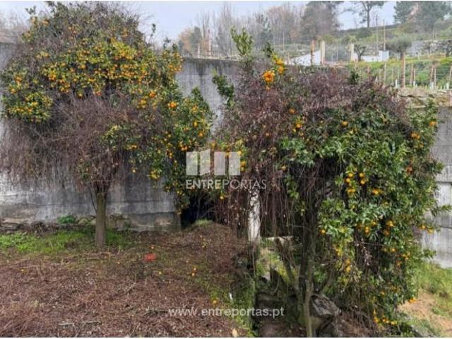 1 quarto, Marco de Canaveses Marco de Canaveses LS98362767