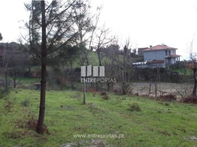 1 quarto, Marco de Canaveses Marco de Canaveses 102134154