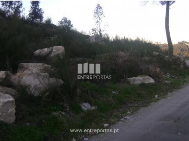 1 quarto, Marco de Canaveses Marco de Canaveses 102338488