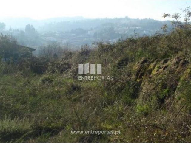 1 quarto, Marco de Canaveses Marco de Canaveses 102577925