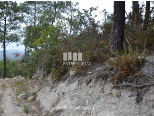 1 quarto, Marco de Canaveses Marco de Canaveses 102872769