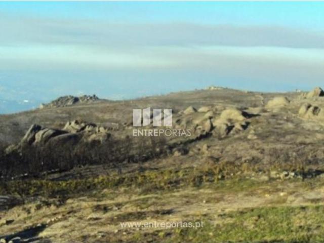 1 quarto, Marco de Canaveses Marco de Canaveses 102811072