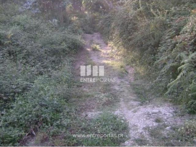1 quarto, Marco de Canaveses Marco de Canaveses 102977440