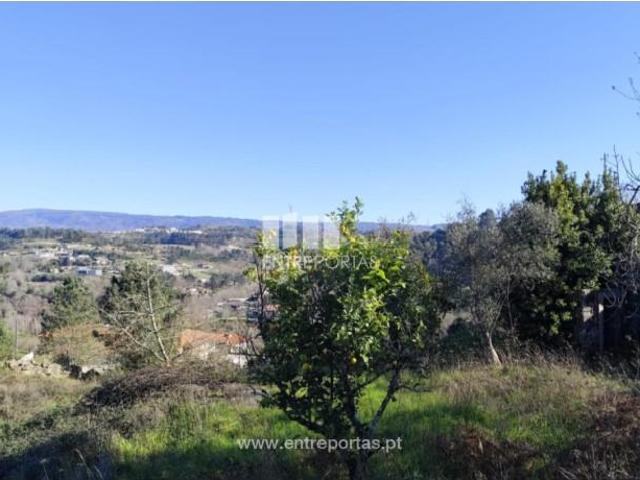 1 quarto, Marco de Canaveses Marco de Canaveses 103015862