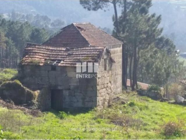 1 quarto, Marco de Canaveses Marco de Canaveses 103015899