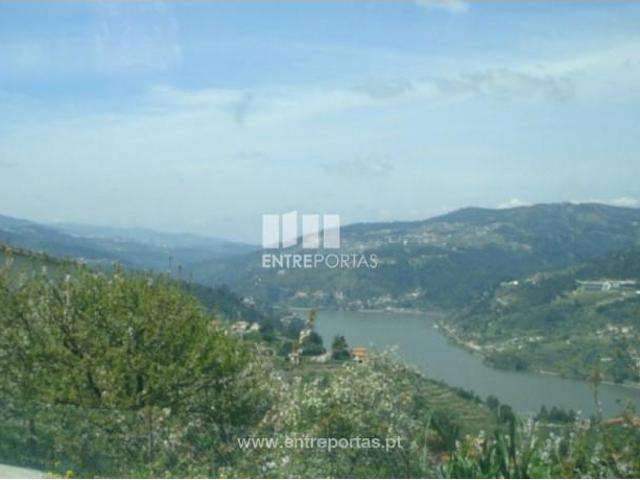1 quarto, Marco de Canaveses Marco de Canaveses 103015914