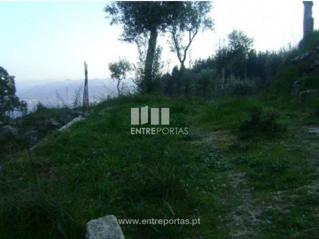 1 quarto, Marco de Canaveses Marco de Canaveses 103145602