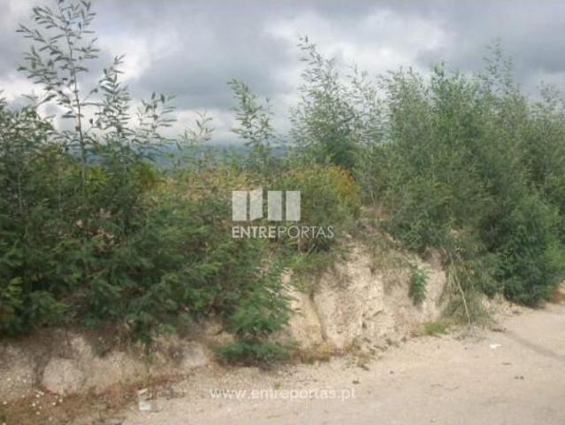 1 quarto, Marco de Canaveses Marco de Canaveses 103112733