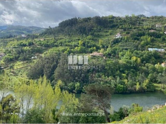 1 quarto, Marco de Canaveses Marco de Canaveses 103265987