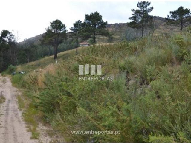 1 quarto, Marco de Canaveses Marco de Canaveses 103235751