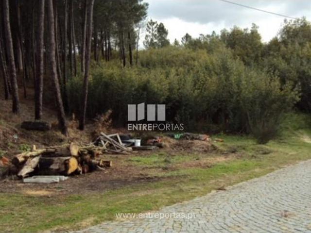 1 quarto, Marco de Canaveses Marco de Canaveses 103235755