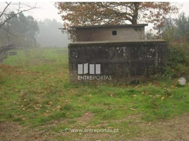 1 quarto, Marco de Canaveses Marco de Canaveses 103235890