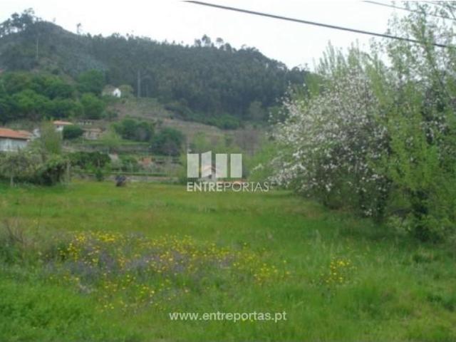 1 quarto, Marco de Canaveses Marco de Canaveses 103350569