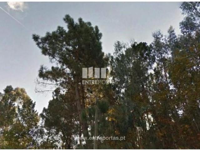 1 quarto, Marco de Canaveses Marco de Canaveses 103350515