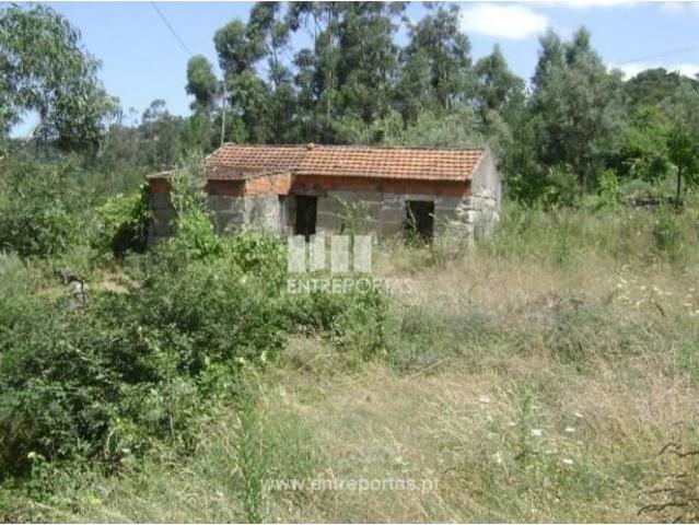 1 quarto, Marco de Canaveses Marco de Canaveses 103350532