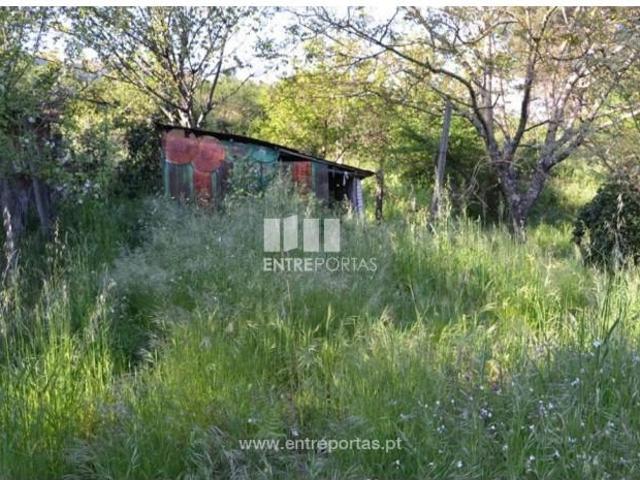 1 quarto, Marco de Canaveses Marco de Canaveses 103350537