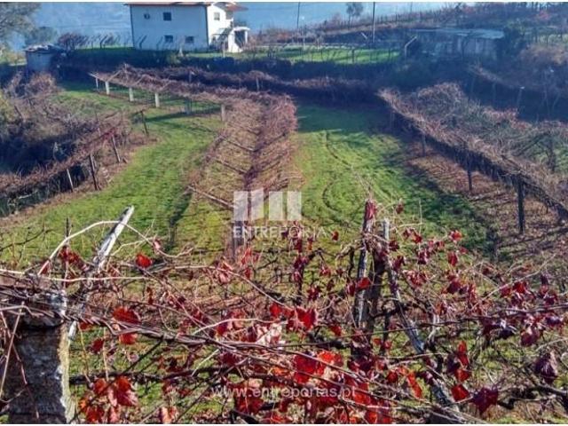 1 quarto, Marco de Canaveses Marco de Canaveses 103384940