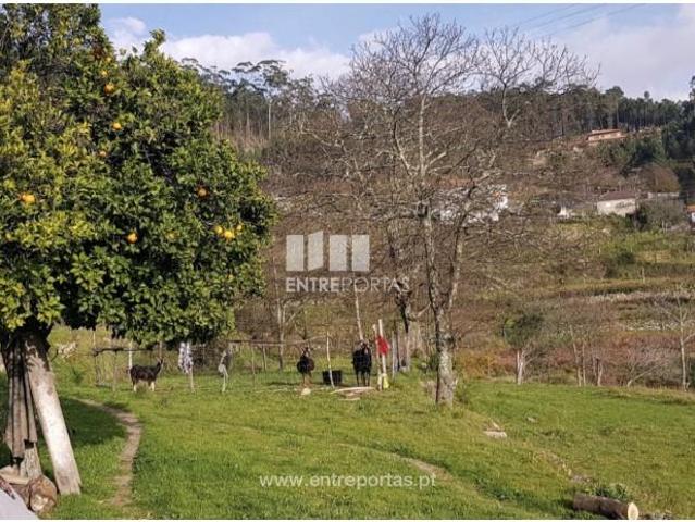 1 quarto, Marco de Canaveses Marco de Canaveses 103333652