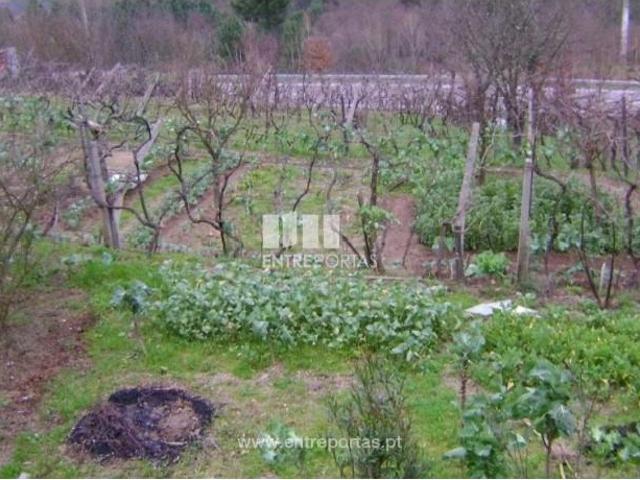 1 quarto, Marco de Canaveses Marco de Canaveses 103333796