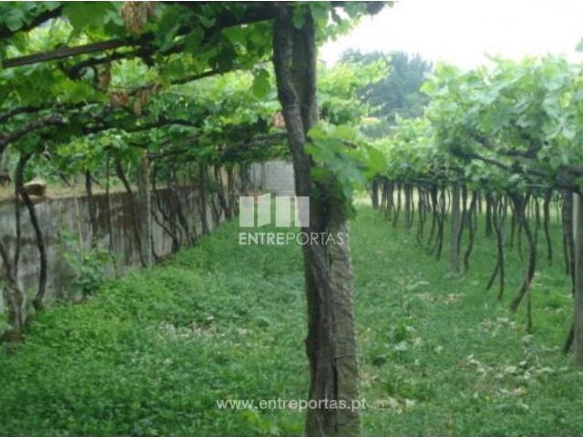1 quarto, Marco de Canaveses Marco de Canaveses 103333709