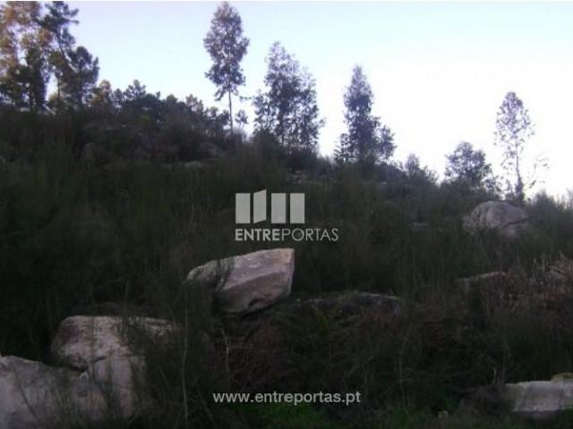 1 quarto, Marco de Canaveses Marco de Canaveses 103420571