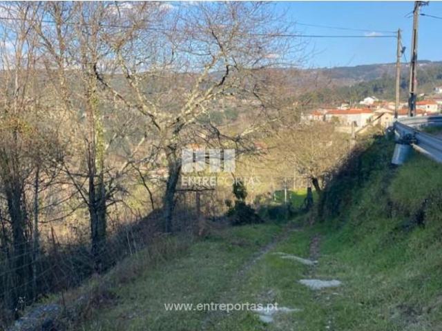 1 quarto, Marco de Canaveses Marco de Canaveses 104387027