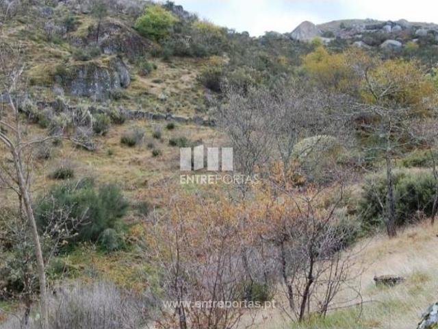 1 quarto, Marco de Canaveses Marco de Canaveses 104387029