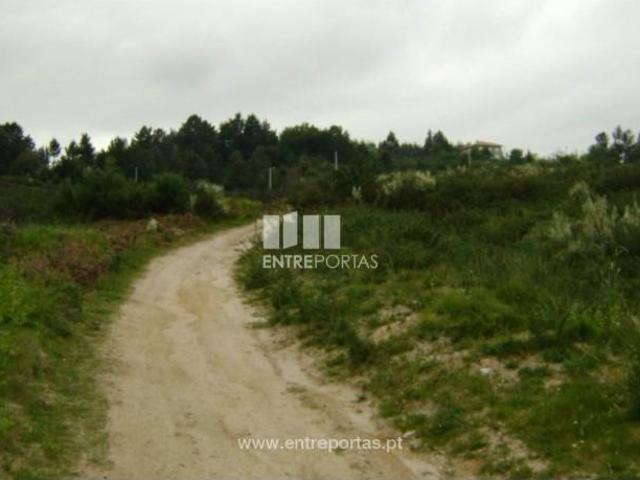 1 quarto, Marco de Canaveses Marco de Canaveses 104665601