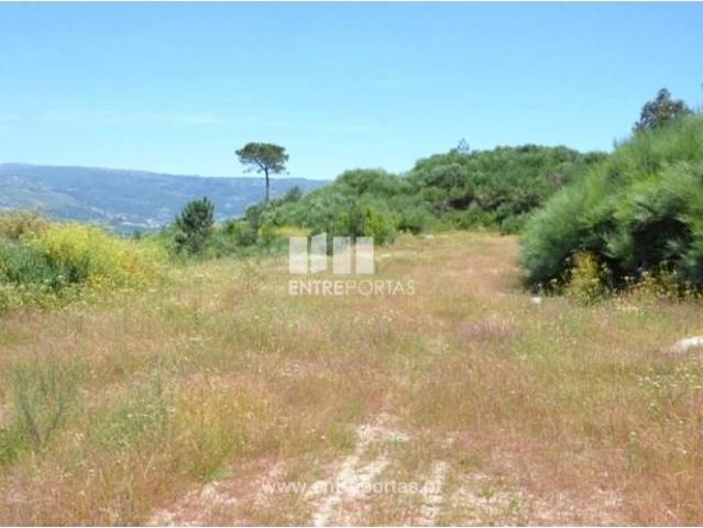 1 quarto, Marco de Canaveses Marco de Canaveses 104840050