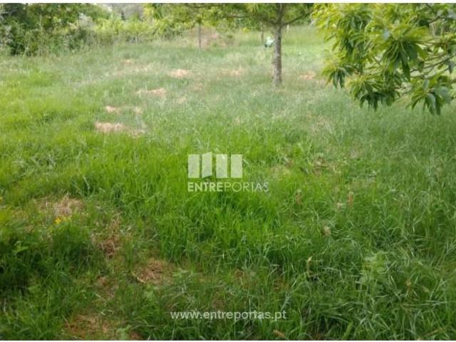 1 quarto, Marco de Canaveses Marco de Canaveses 104840015