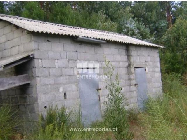 1 quarto, Marco de Canaveses Marco de Canaveses 104840033