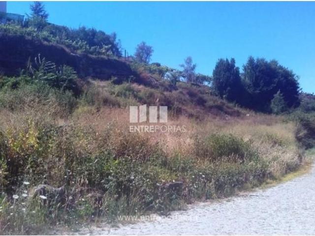 1 quarto, Marco de Canaveses Marco de Canaveses 104886642