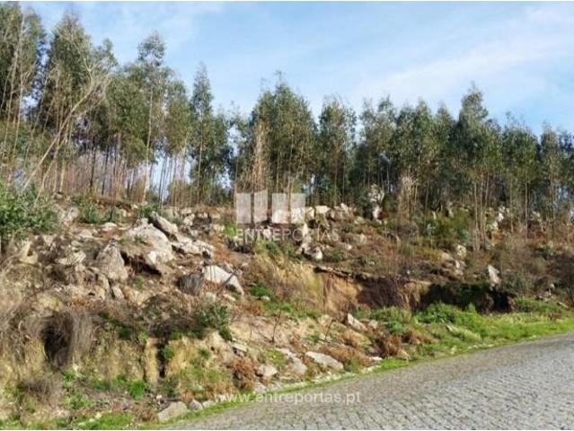 1 quarto, Marco de Canaveses Marco de Canaveses 104886743