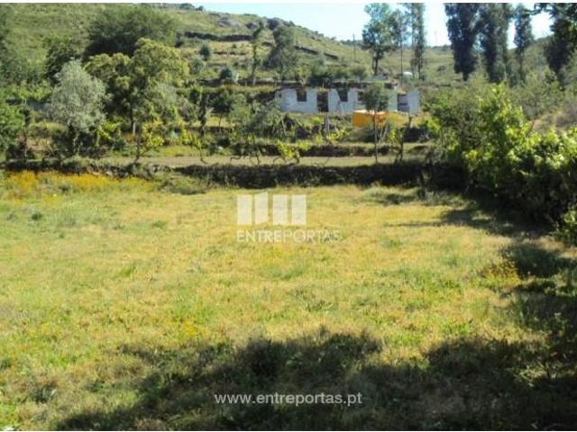 1 quarto, Marco de Canaveses Marco de Canaveses 104817135
