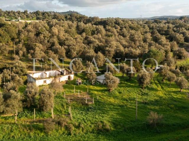 1 quarto, Montemor Montemor 90286837