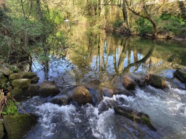 1 quarto, Paredes de Coura Paredes de Coura 99639226