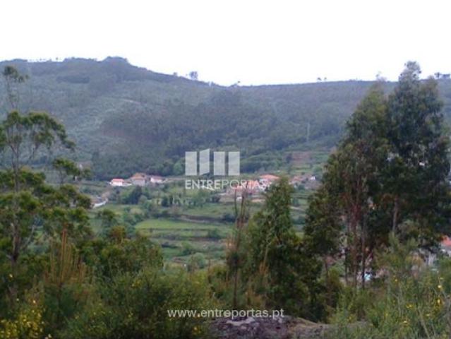 1 quarto, Penafiel Penafiel 97884774