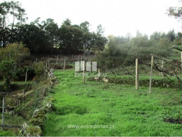 1 quarto, Penafiel Penafiel 103015868