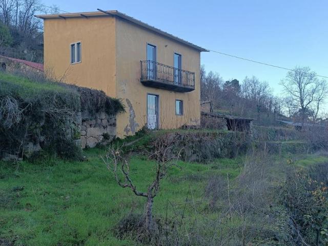 1 quarto, Pinhel Pinhel 6400 102849433