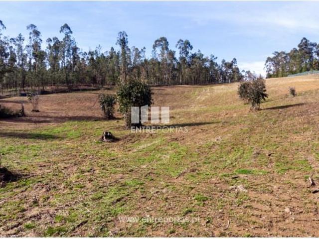 1 quarto, Ponte de Lima Ponte de Lima 99744974