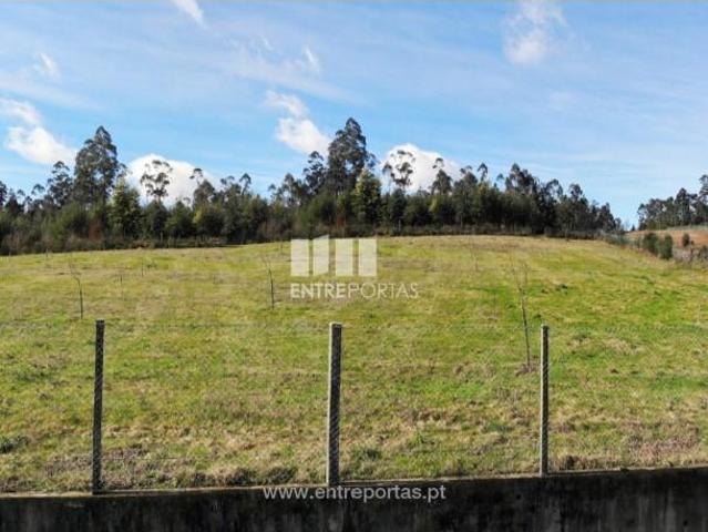 1 quarto, Ponte de Lima Ponte de Lima LS95877593