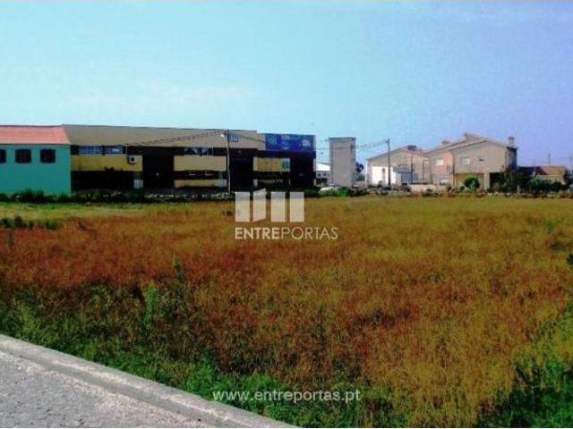 1 quarto, Póvoa de Varzim Póvoa de Varzim 103030032