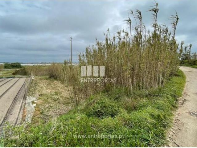 1 quarto, Póvoa de Varzim Póvoa de Varzim 97053604