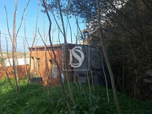 1 quarto, Santarém Chamusca 103541053