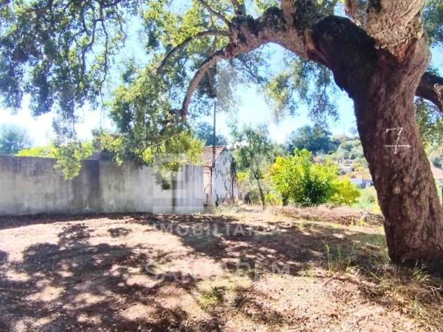 1 quarto, Santarém Santarém 95845692