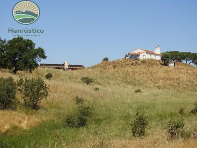 1 quarto, Santiago do Cacém Santiago do Cacém 92293678