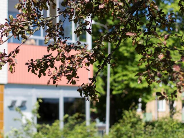 1 rums lägenhet i Ljungby 21 m² 2 863 kr
