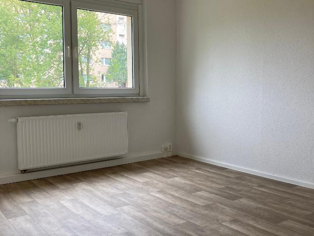 1 Raum Wohnung in Döbeln Nord