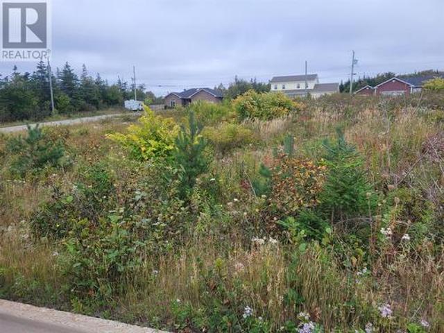 1 Ridgeview Avenue, Stephenville, NL, A2N 0B7 vacant land for sale | Listing ID 1296 | Royal LePage
