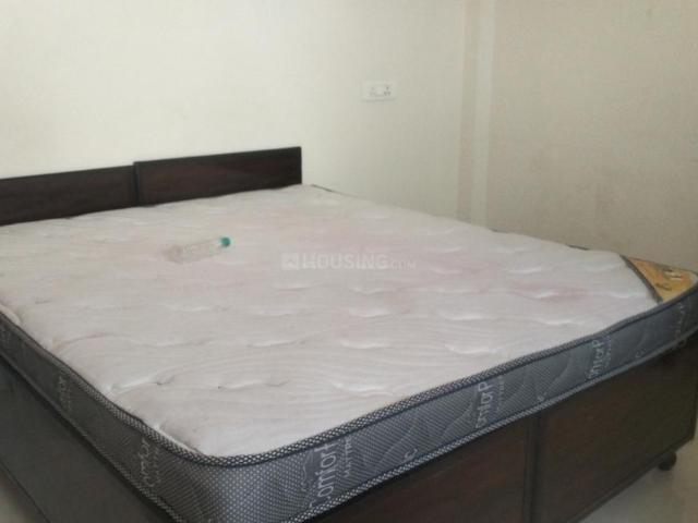 1 RK Apartment in Vijay Nagar for rent Indore. The reference number is 20263894